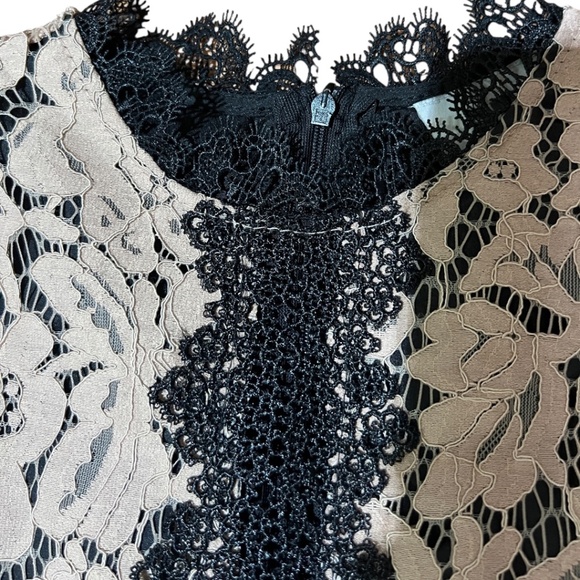 Tan & Black Lace Lined Midi Dress - Size 4 - Picture 6 of 11